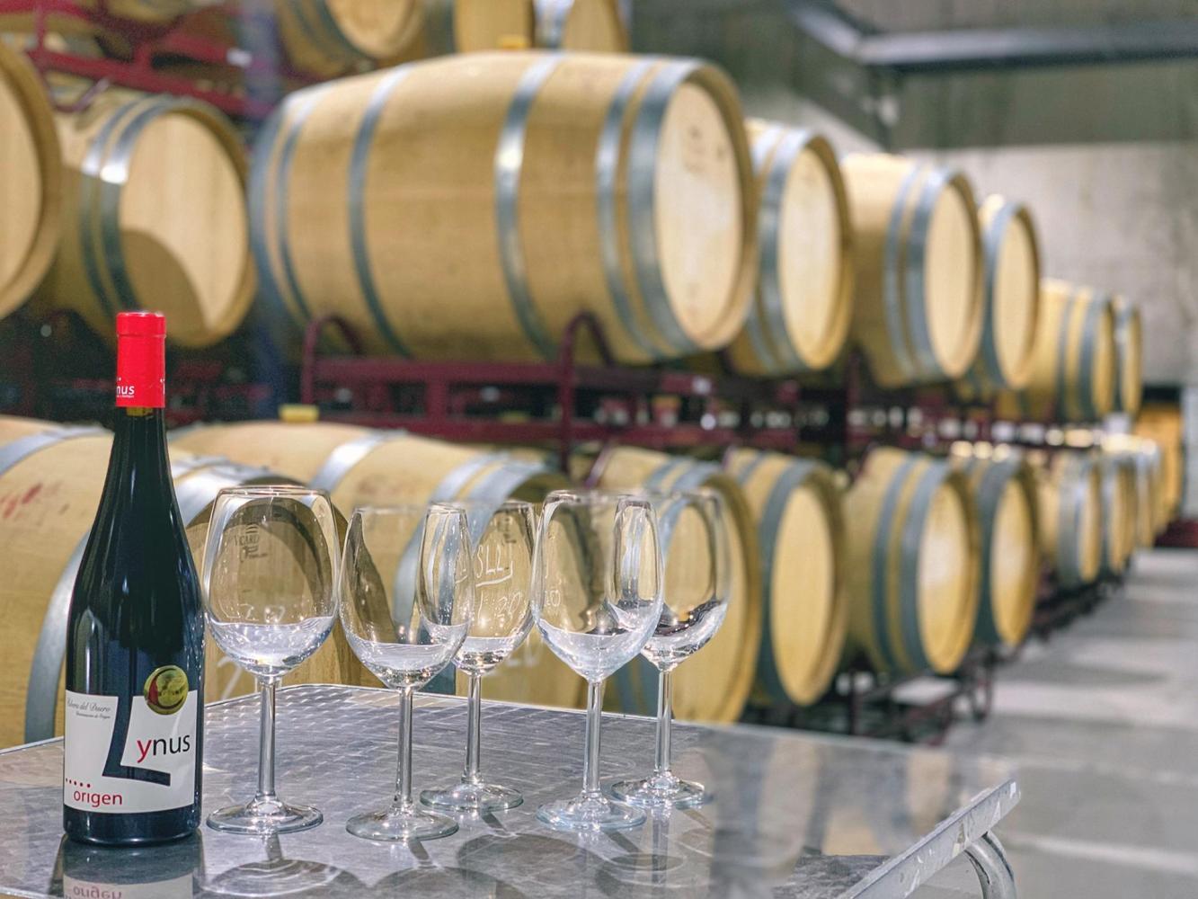 Nuestra Bodega